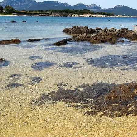 Casanuova Flat, Center Apartment Olbia