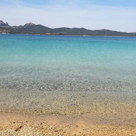 Casanuova Flat, Center Όλμπια